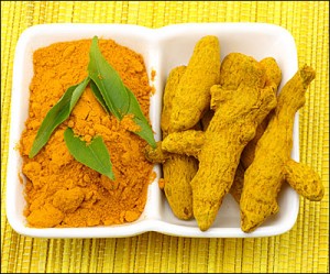 le curcuma cultivé biologiquement est très riche en antioxydants naturels puissants pour la prévention des cancers